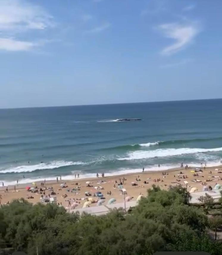 Apartamento T2 Eugenie Ocean View Grande And Pool *